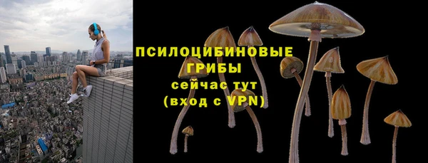 a pvp Заводоуковск